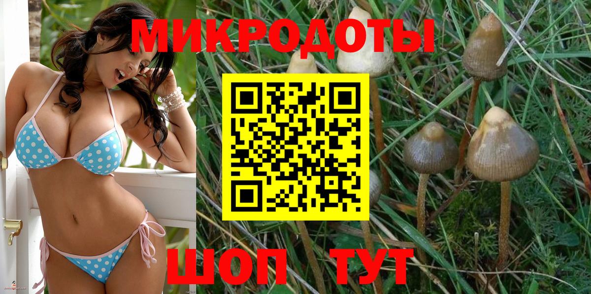 Галлюциногенные грибы прущие грибы  Галлюциногенные грибы MAGIC MUSHROOMS  Вход с VPN  Октябрьский 