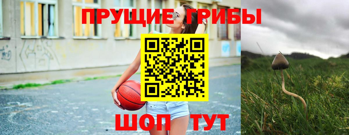 Псилоцибиновые грибы Psilocybe Октябрьский